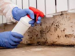 Mold Remediation for Vacation Homes in Idabel, OK